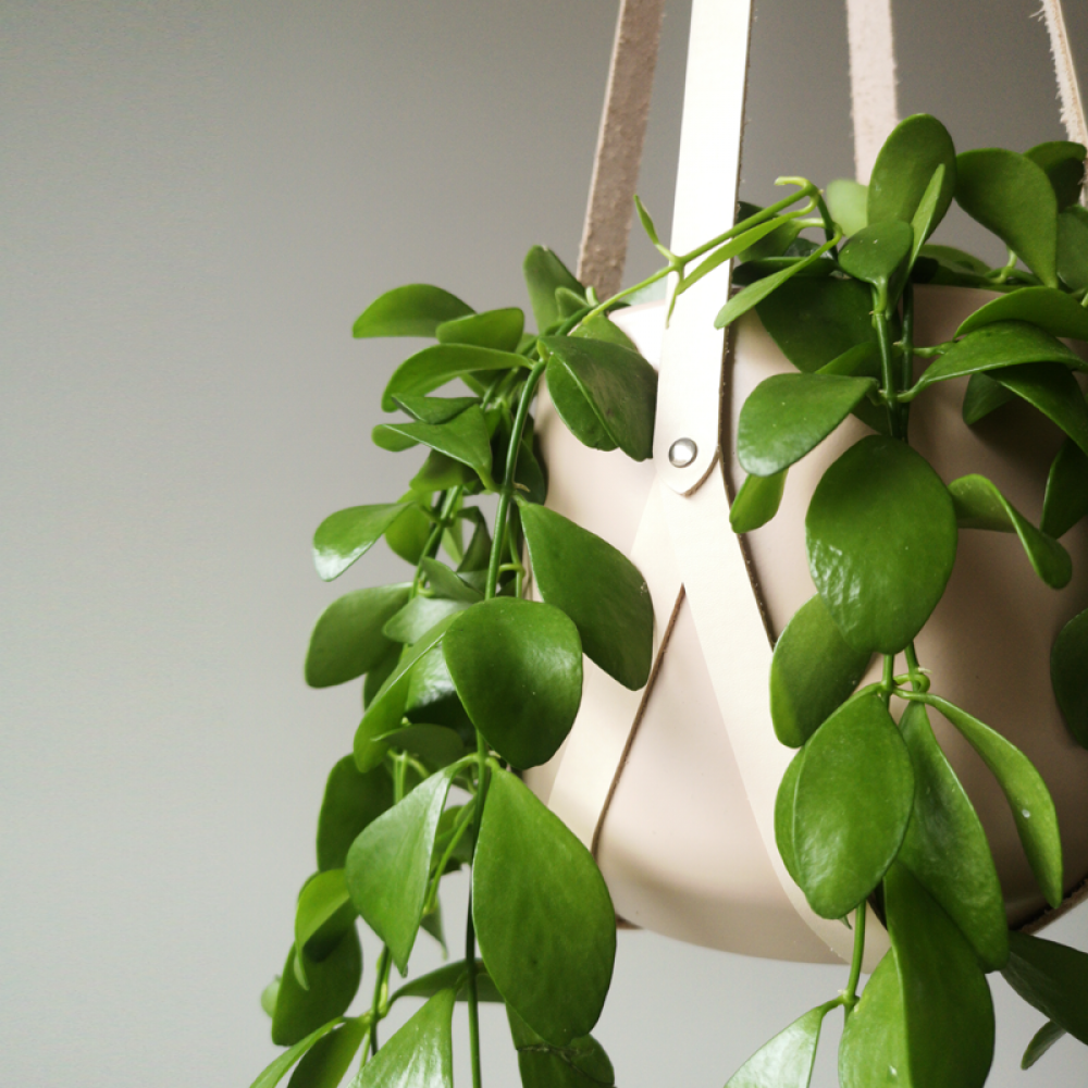 Leather plant hanger beige | Minimalistic design