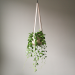 Leren plantenhanger beige | Minimalistisch design