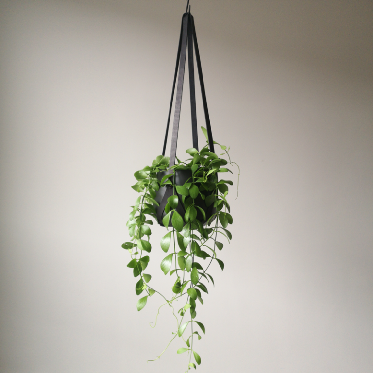 Leren plantenhanger zwart | Minimalistisch design